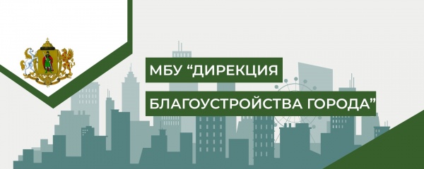 Контрольно-счетной палатой города Рязани проводится контрольное мероприятие в отношении муниципального  бюджетного учреждения «Дирекция благоустройства города» 